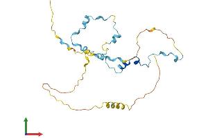 Protein Structure (PS) image for Mediator Complex Subunit 19 (MED19) (AA 1-244) protein (His tag) (ABIN7549282)