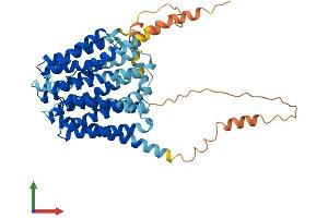 Protein Structure (PS) image for Solute Carrier Family 19 (Folate Transporter), Member 1 (SLC19A1) (AA 1-512) protein (His tag) (ABIN7563235)