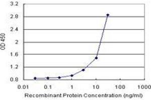 Sandwich ELISA detection sensitivity ranging from 1 ng/mL to 100 ng/mL. (FGF21 (人) Matched Antibody Pair)