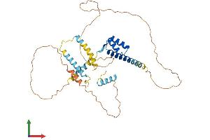 AlphaFold protein structure predicition of Mouse Recombinant Dmbx1 Protein, UniprotID Q91ZK4