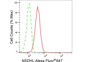 Flow cytometric analysis of NSDHL expression in HT- cells using NSDHL antibody (ABIN7799539), 1:2,000). (Recombinant NSDHL 抗体)