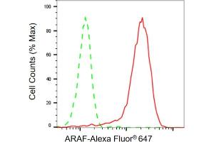 Flow cytometric analysis of ARAF expression in HepG2 cells using ARAF antibody ( (ABIN7800798), 1:2,000). (Recombinant ARAF 抗体)