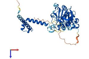 SIRT7 Protein (AA 1-400) (His tag)