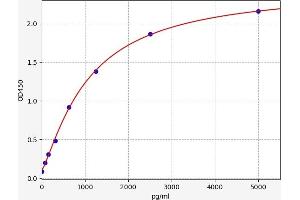 Matrix Metallopeptidase 12 (Macrophage Elastase) (MMP12) ELISA Kit