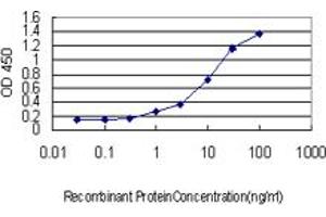 Detection limit for recombinant GST tagged RHEB is approximately 0. (RHEB 抗体  (AA 1-184))