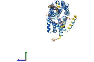 AlphaFold protein structure predicition of Mouse Recombinant Mfsd9 Protein, UniprotID Q8C0T7 (MFSD9 Protein (AA 1-466) (His tag))