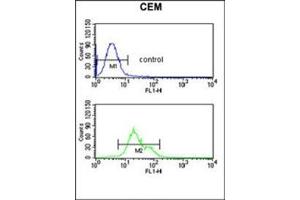 Flow Cytometry (FACS) image for anti-Solute Carrier Family 39 (Zinc Transporter), Member 8 (SLC39A8) (AA 225-254), (Middle Region) antibody (ABIN955673)