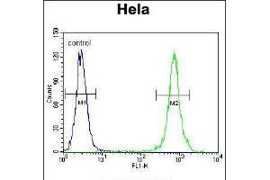 Flow cytometric analysis of Hela cells (right histogram) compared to a negative control cell (left histogram). (TRADD 抗体  (AA 126-151))