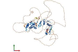 Protein Structure (PS) image for Zinc Finger and BTB Domain Containing 33 (ZBTB33) (AA 1-672) protein (His tag) (ABIN7554217)