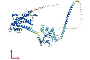 Protein Structure (PS) image for Cyclic Nucleotide Gated Channel alpha 4 (CNGA4) (AA 1-575) protein (His tag) (ABIN7563760)