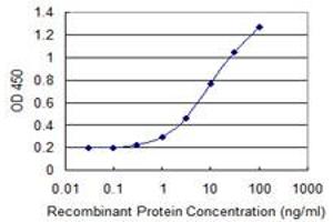 Detection limit for recombinant GST tagged CHST5 is 0. (CHST5 抗体  (AA 310-390))