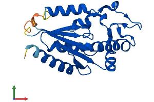 Protein Structure (PS) image for Nicotinamide Riboside Kinase 1 (NMRK1) (AA 1-195) protein (His tag) (ABIN7560015)