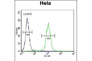 Flow cytometric analysis of Hela cells (right histogram) compared to a negative control cell (left histogram). (LMTK3 抗体  (N-Term))