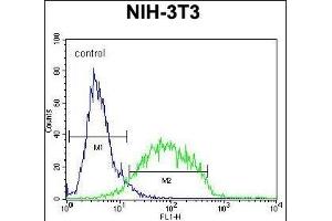 GCNT3 Antibody (C-term) (ABIN654928 and ABIN2844571) flow cytometric analysis of NIH-3T3 cells (right histogram) compared to a negative control cell (left histogram). (GCNT3 抗体  (C-Term))