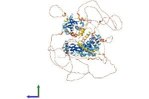Protein Structure (PS) image for Ankyrin Repeat and Sterile alpha Motif Domain Containing 1B (ANKS1B) (AA 1-1248) protein (His tag) (ABIN7552062)