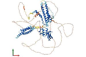Protein Structure (PS) image for CCR4-NOT Transcription Complex, Subunit 3 (CNOT3) (AA 1-753) protein (His tag) (ABIN7553535)