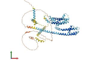 Protein Structure (PS) image for Cation Channel, Sperm Associated 2 (CATSPER2) (AA 1-588) protein (His tag) (ABIN7561953)