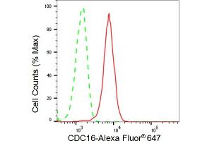 Flow cytometric analysis of CDC16 expression in HeLa cells using CDC16 antibody (ABIN7798002), 1:2,000). (Recombinant CDC16 抗体)