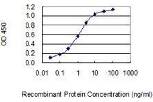 Detection limit for recombinant GST tagged GABRE is 0. (GABRE 抗体  (AA 1-100))