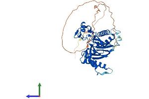 Protein Structure (PS) image for Integrin-Linked Kinase-Associated Serine/threonine Phosphatase 2C (ILKAP) (AA 1-392) protein (His tag) (ABIN7548498)