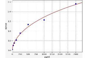 Pleiotrophin (PTN) ELISA Kit