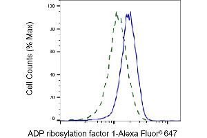 Validation of ADP ribosylation factor 1 knockdown using flow cytometry. (Recombinant ARF1 抗体)