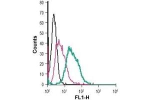 Flow Cytometry (FACS) image for anti-Solute Carrier Family 6 (Neurotransmitter Transporter, Dopamine), Member 3 (SLC6A3) (AA 191-205), (Extracellular) antibody (FITC) (ABIN7043741)