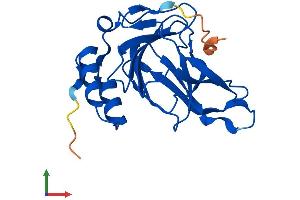 Protein Structure (PS) image for Cysteine Dioxygenase, Type I (CDO1) (AA 1-200) protein (His tag) (ABIN7556559)