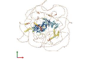AlphaFold protein structure predicition of Mouse Recombinant Med1 Protein, UniprotID Q925J9