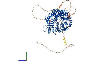 Protein Structure (PS) image for Mannosidase, Alpha, Class 1B, Member 1 (MAN1B1) (AA 1-699) protein (His tag) (ABIN7554486)