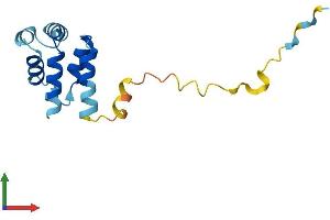 AlphaFold protein structure predicition of Mouse Recombinant Pea15 Protein, UniprotID Q62048