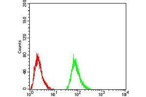 Flow cytometric analysis of Hela cells using TSHB mouse mAb (green) and negative control (red).