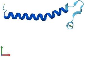 AlphaFold protein structure predicition of Mouse Recombinant Tomm7 Protein, UniprotID Q9D173