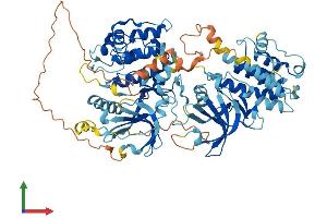Protein Structure (PS) image for Ribosomal Protein S6 Kinase, 90kDa, Polypeptide 3 (RPS6KA3) (AA 1-740) protein (His tag) (ABIN7562929)