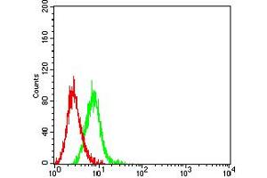 Flow cytometric analysis of Ramos cells using CD154 mouse mAb (green) and negative control (red).