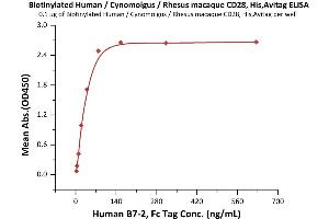 Immobilized Biotinylated Human / Cynomolgus / Rhesus macaque CD28, His,Avitag (ABIN6972981) at 1 μg/mL (100 μL/well) on Streptavidin  precoated (0. (CD28 Protein (CD28) (AA 19-152) (His tag,AVI tag,Biotin))