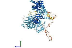AlphaFold protein structure predicition of Human Recombinant IGF2BP3 Protein, UniprotID O00425 (IGF2BP3 Protein (AA 1-579) (His tag))