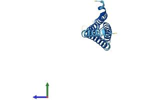 Protein Structure (PS) image for Arachidonate 5-Lipoxygenase-Activating Protein (ALOX5AP) (AA 1-161) protein (His tag) (ABIN7563085)