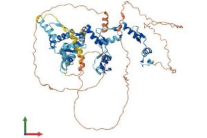 AlphaFold protein structure predicition of Human Recombinant MYNN Protein, UniprotID Q9NPC7 (Myoneurin Protein (MYNN) (AA 1-610) (His tag))
