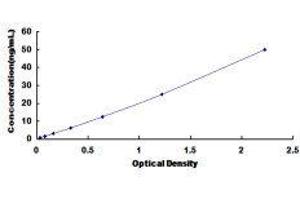 ELISA image for Amylase, alpha 1A (Salivary) (AMY1A) ELISA Kit (ABIN431368)