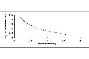 Fibroblast Growth Factor 15 (FGF15) ELISA Kit