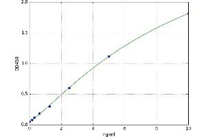 E3 Ubiquitin-protein ligase DTX1 (DTX1) ELISA Kit