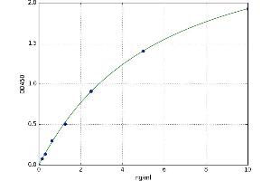 CCAAT/enhancer Binding Protein (C/EBP), beta (CEBPB) ELISA Kit