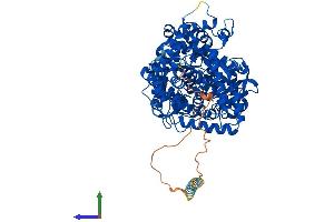 AlphaFold protein structure predicition of Human Recombinant MMEL1 Protein, UniprotID Q495T6