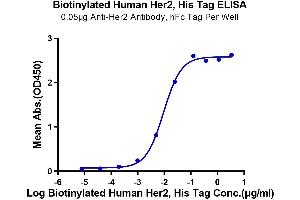 ELISA image for Receptor tyrosine-protein kinase erbB-2 (ErbB2/Her2) (AA 23-652) protein (His-Avi Tag,Biotin) (ABIN7274800)