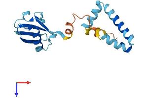 UBL4A Protein (AA 1-157) (His tag)