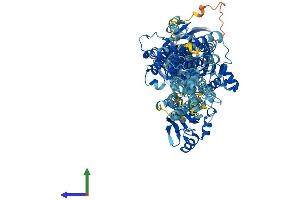 Protein Structure (PS) image for ATPase, Ca++ Transporting, Cardiac Muscle, Slow Twitch 2 (ATP2A2) (AA 1-1044) protein (His tag) (ABIN7562490)