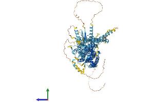 Protein Structure (PS) image for Anoctamin 1, Calcium Activated Chloride Channel (ANO1) (AA 1-986) protein (His tag) (ABIN7552156)