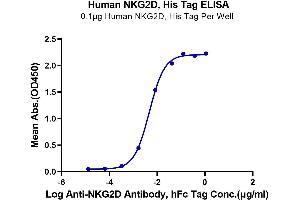 ELISA image for Killer Cell Lectin-Like Receptor Subfamily K, Member 1 (KLRK1) (AA 78-216) protein (His-Avi Tag) (ABIN7275342)