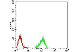 Flow Cytometry (FACS) image for anti-Histone Cluster 2, H4a (HIST2H4A) antibody (ABIN5942186) (Histone Cluster 2, H4a (HIST2H4A) 抗体)